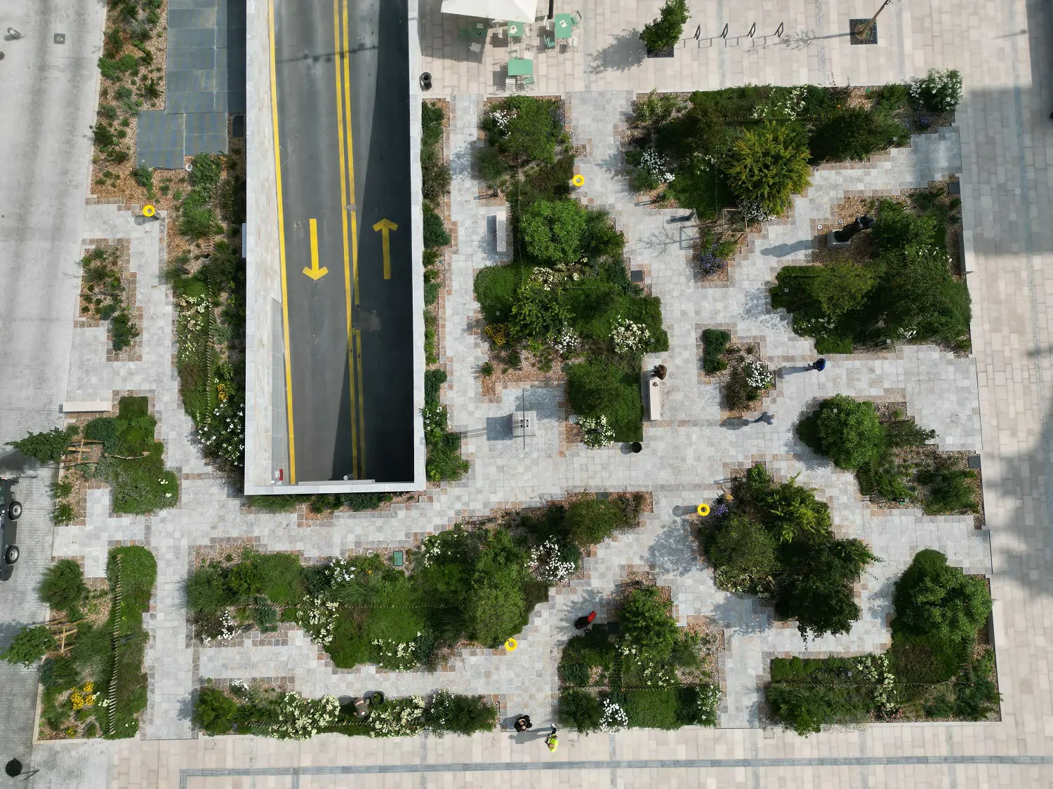 Place Franklin Roosevelt à Montauban 1