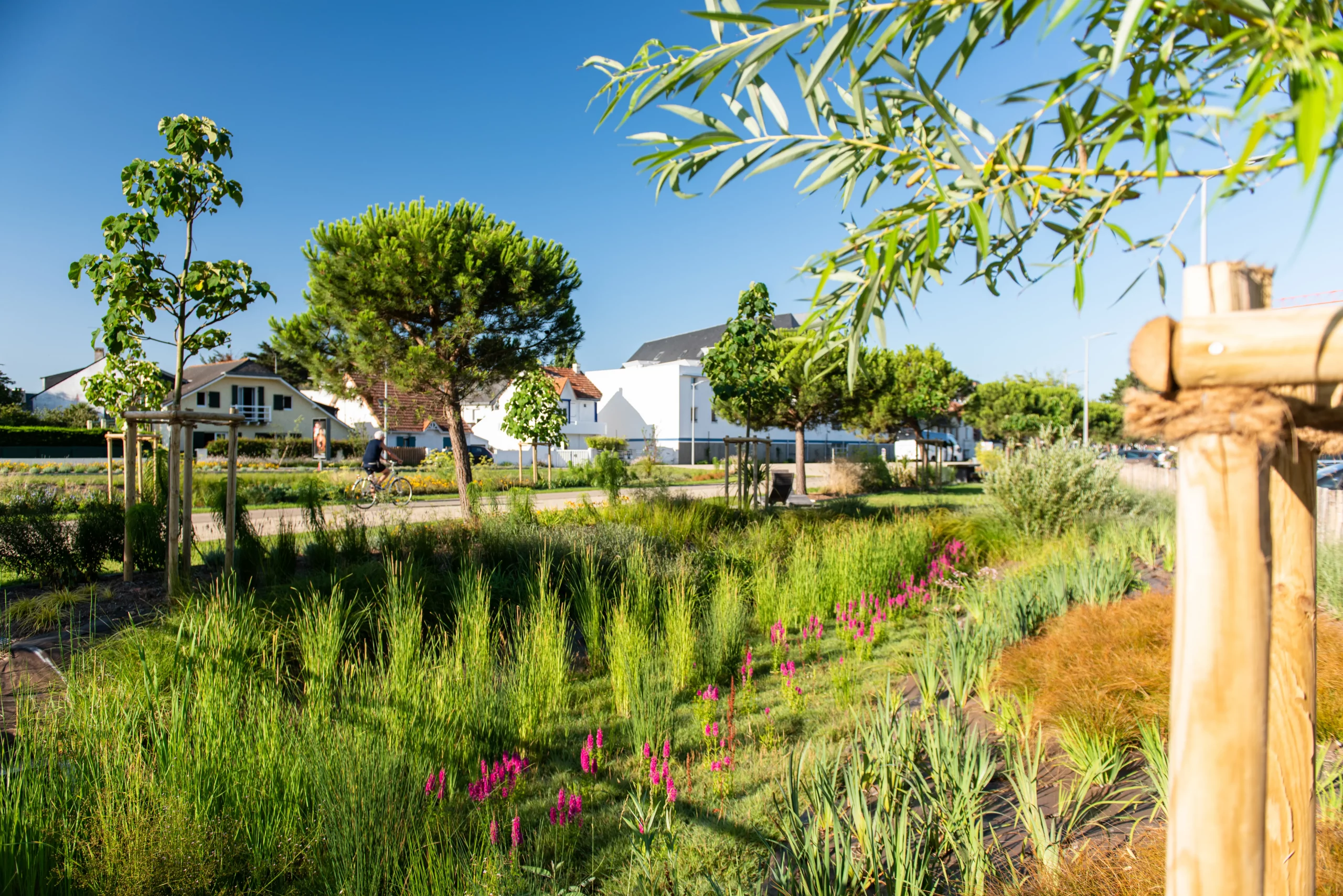 Savoir faire paysage