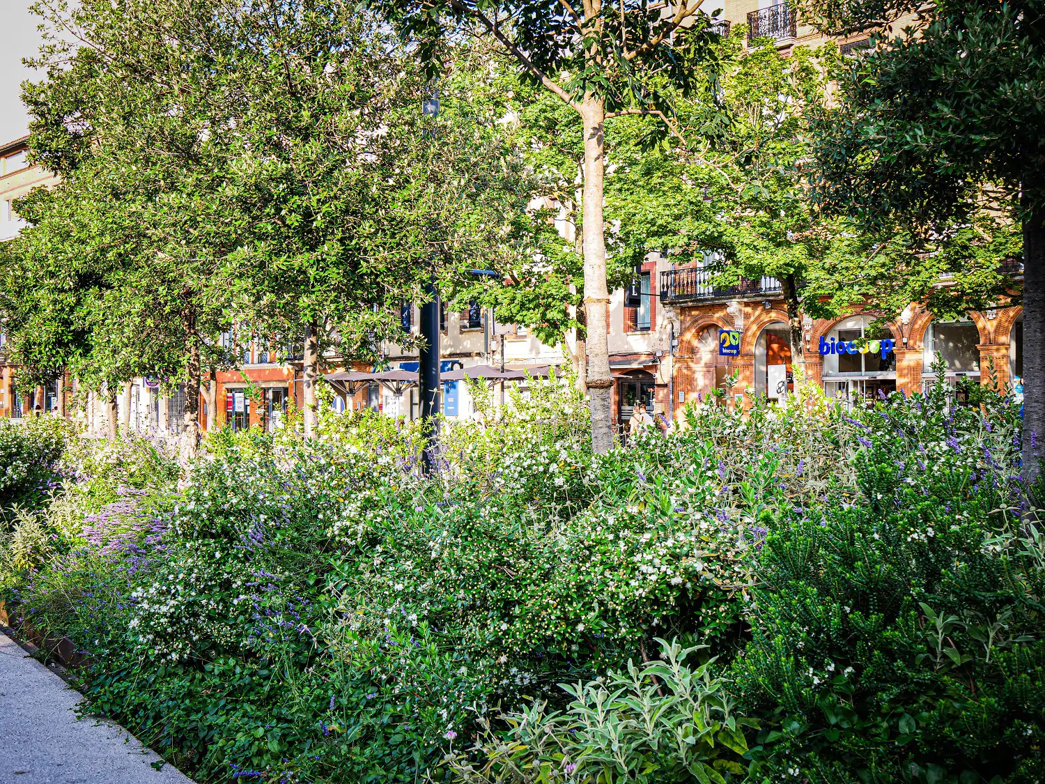 Les « Ramblas » toulousaines 1