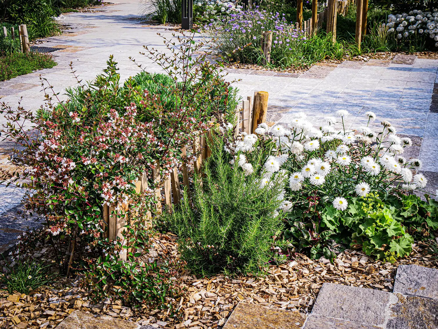 Place Franklin Roosevelt à Montauban 3