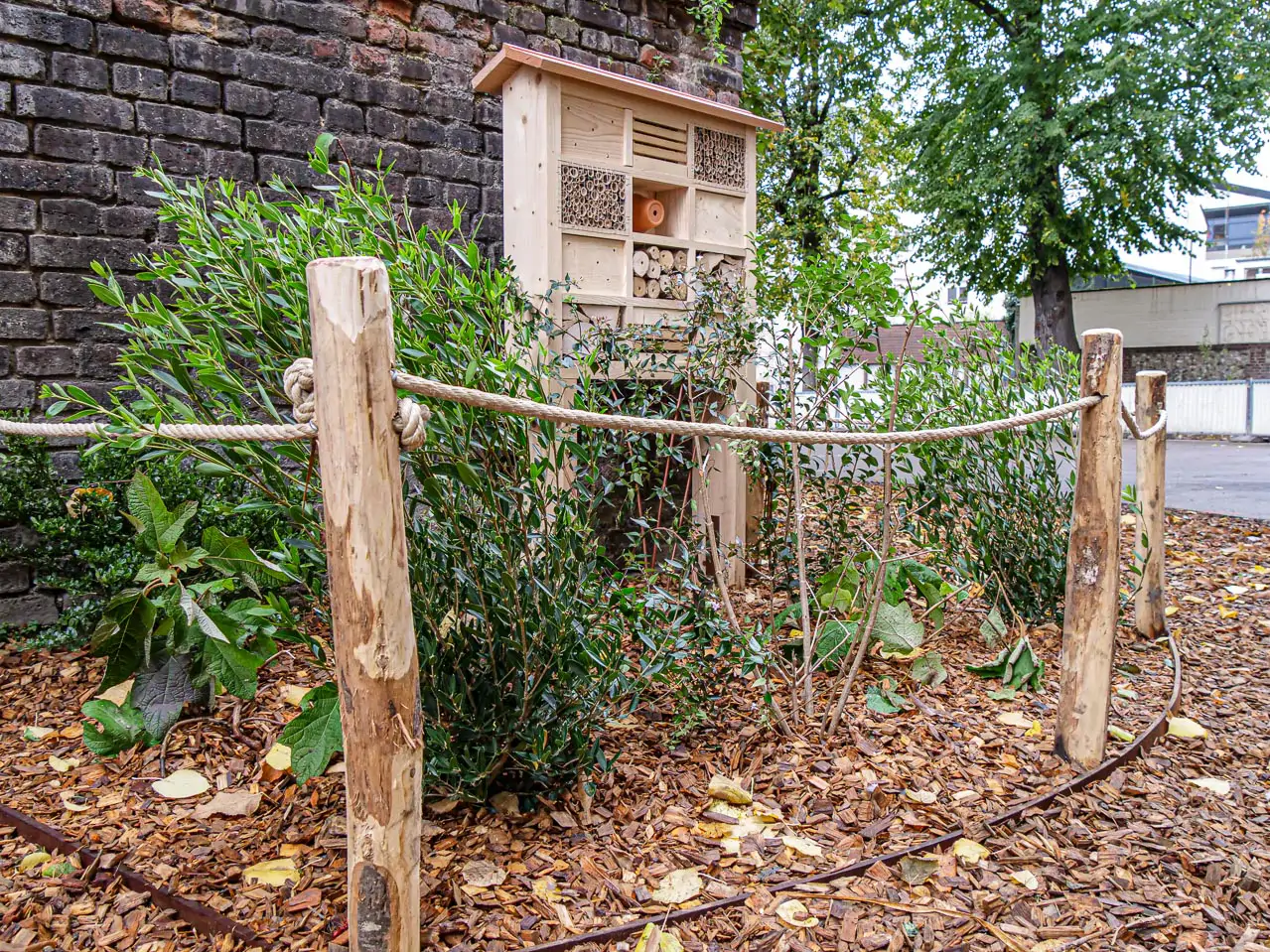 Végétalisation de cours d’écoles à Rouen 2