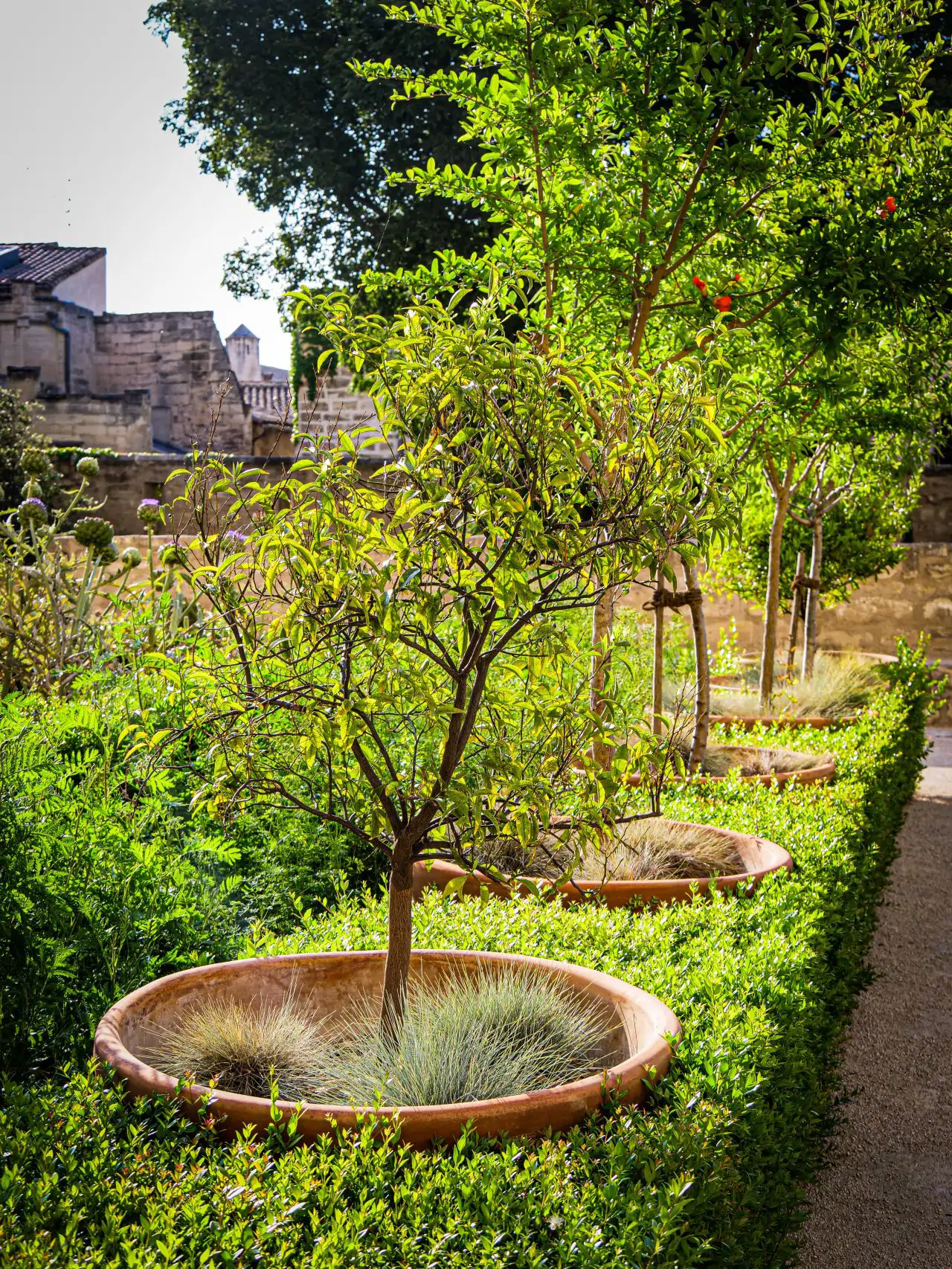 Les jardins du Palais des Papes à Avignon 2
