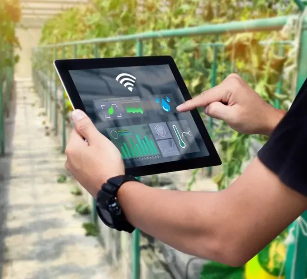 Spie batignolles Verseau