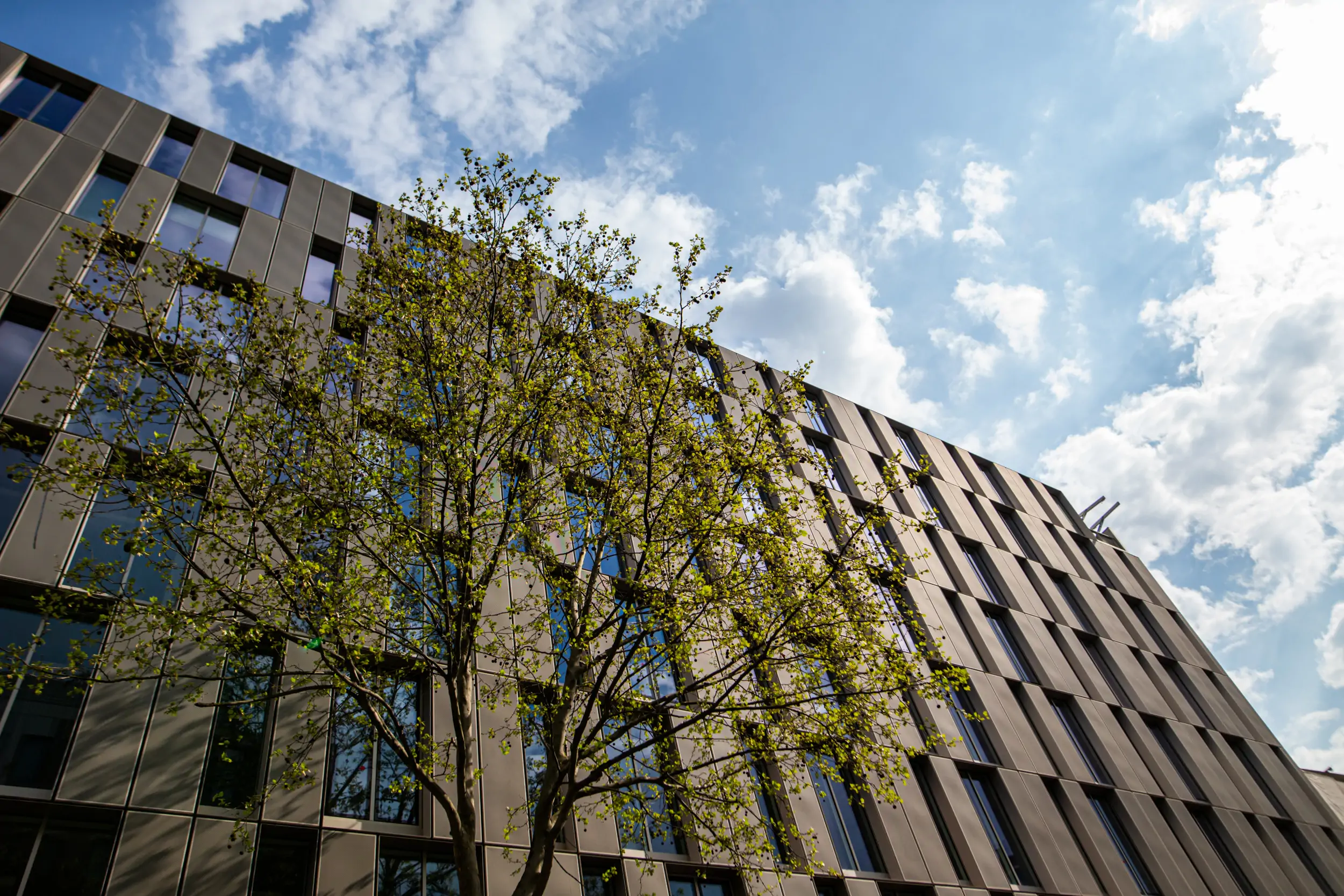 Spie batignolles communiqués